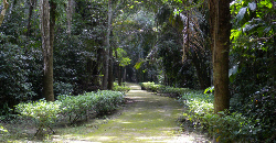 Site maya de Kohunlich, Ruta Becan, www.terre-maya.com